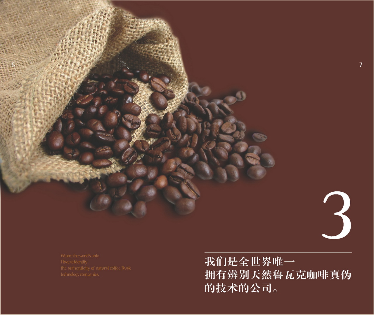 Luwak Coffee 05