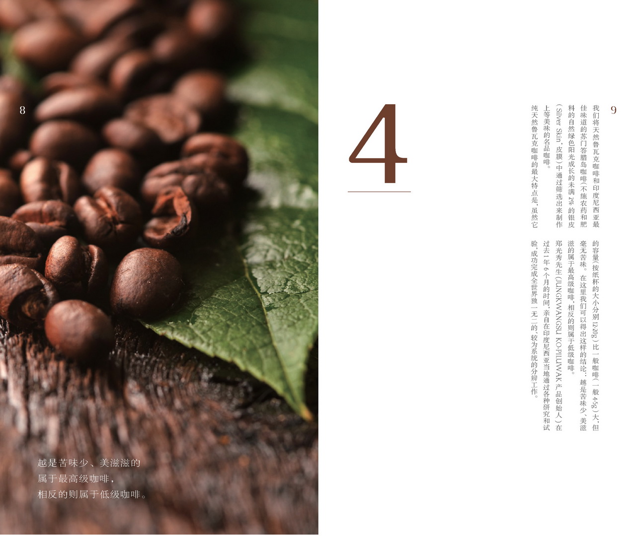 Luwak Coffee 06