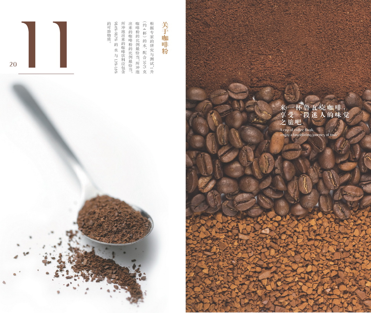 Luwak Coffee 10