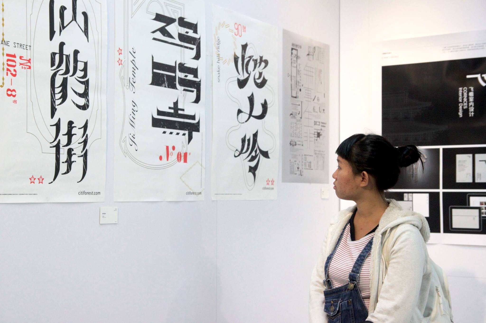 hz 汉字设计双年展 2016 028