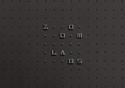 Zoom Labs