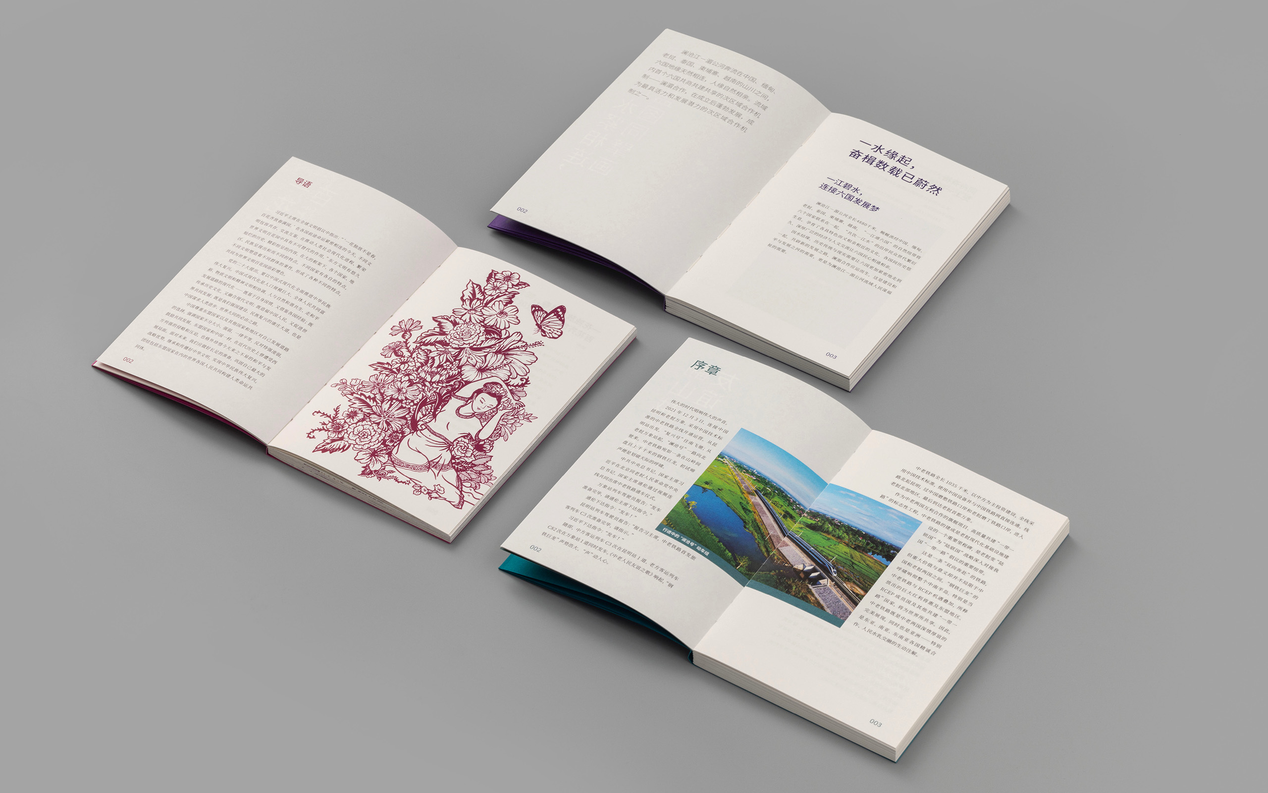 Dooo Design Studio | 读懂亚洲区域合作 系列丛书